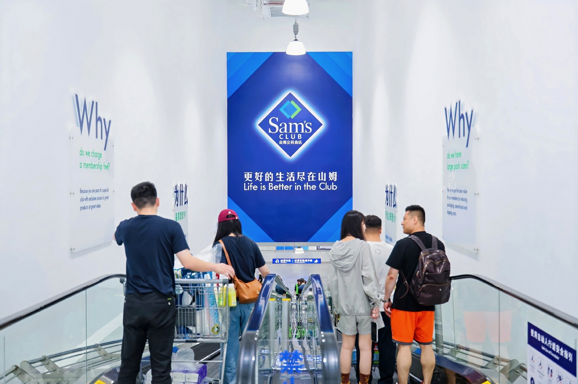 1779956888349529.jpg XUE_8335-opq4596124830.jpg